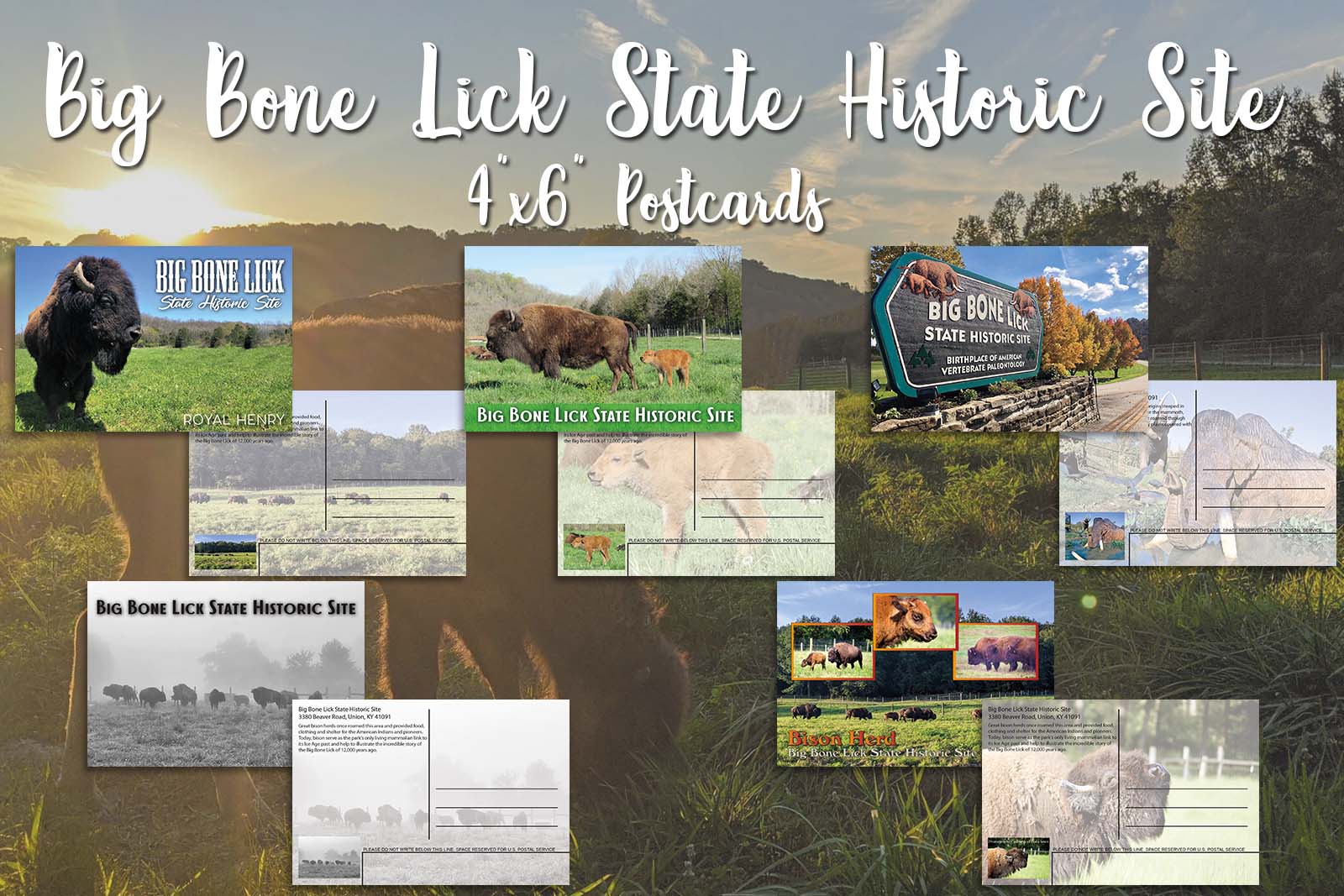 Customer Spotlight: Big Bone Lick State Historic Site